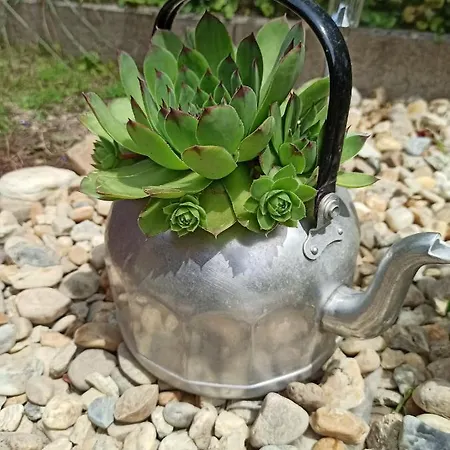 Almavilla Gyenesdias