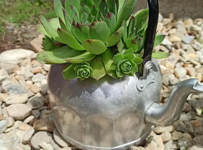 Almavilla Gyenesdiás